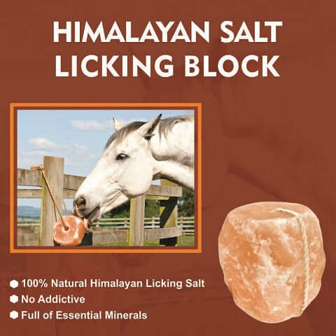 Animal Mineral Salt Lick Block 4-5 lbs