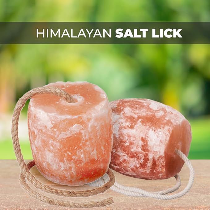 mineral salt lick block - Himalayan Salterz