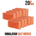 Himalayan Salt Bricks - Himalayan Salterz