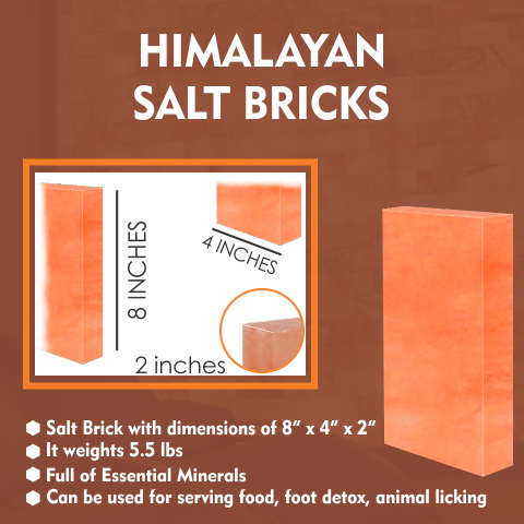 Himalayan Salt Bricks - Himalayan Salterz